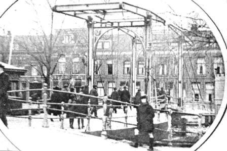 de Witte Leeuw