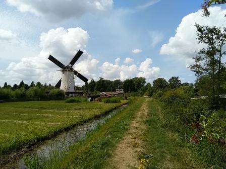Babbersmolen Schiedam
