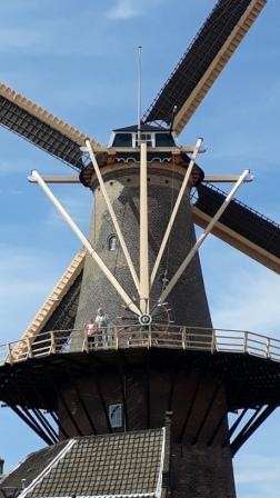 Molen de Roos